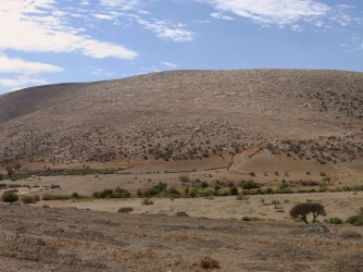 The Jebel Irhoud (Morocco). The excavation area is visible as a dark notch a little more than half way down the ridge line sloping to the left (Credit: Shannon McPherron, MPI EVA Leipzig, License: CC-BY-SA 2.0).