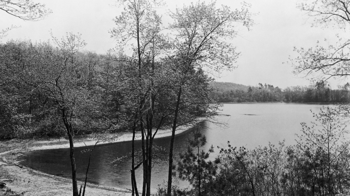 Walden Pond, Concord, Massachussets. (Credit: Bettmann/Getty Images)