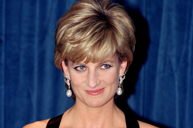 Princess Diana Photo
