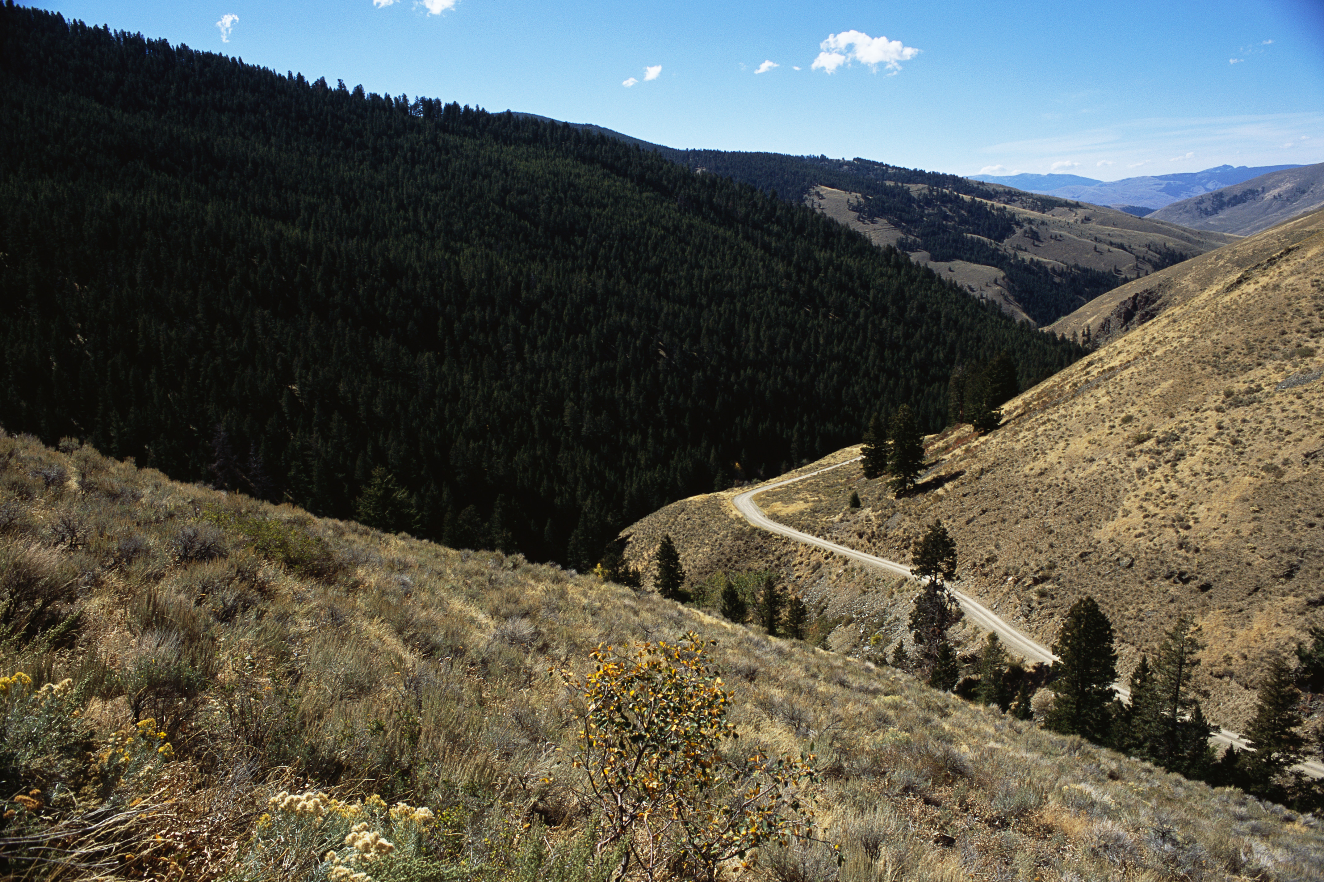 Idaho Mountain Passes Conditions - jckd868