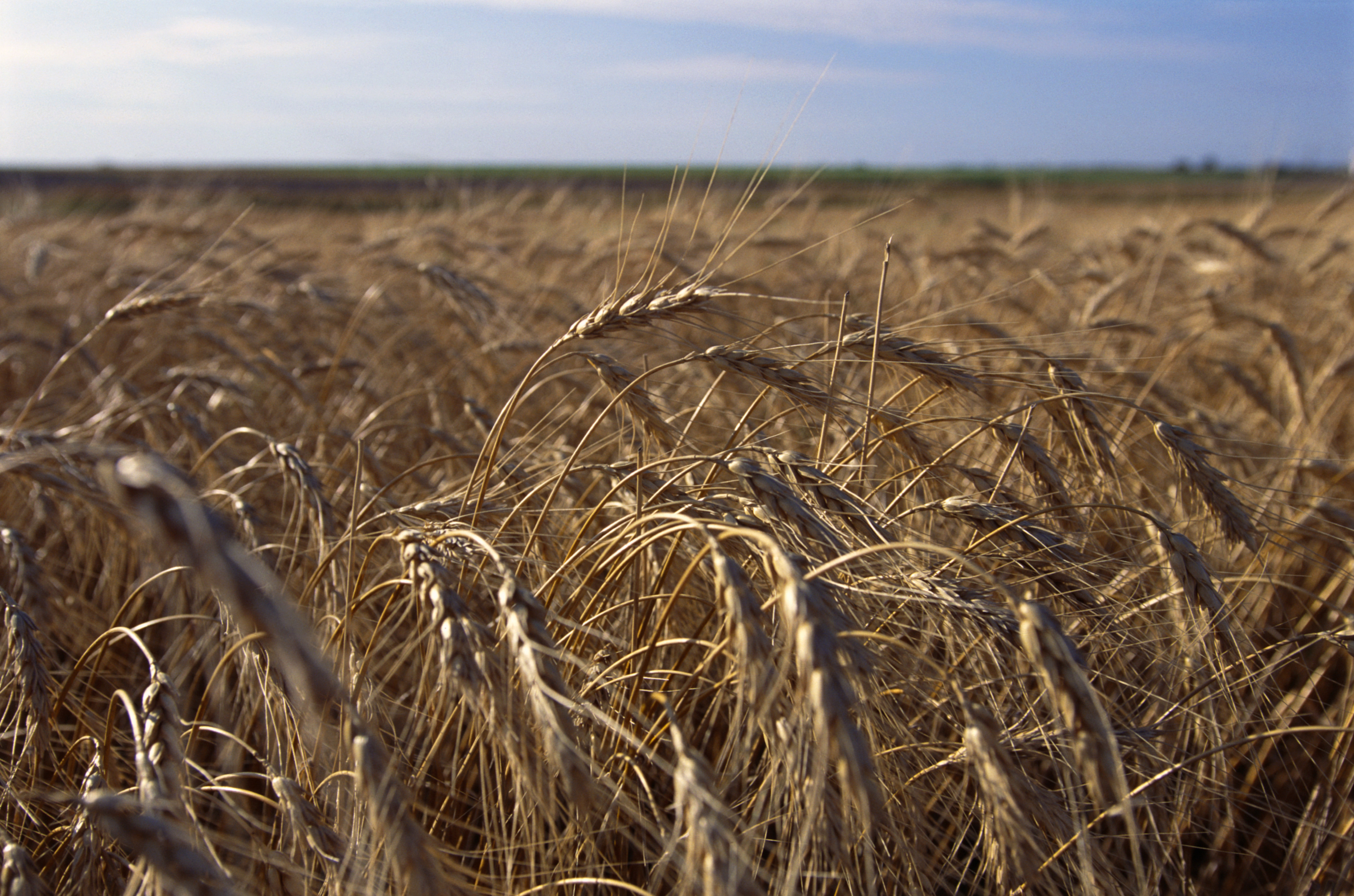 keyholerock Kansas Pictures Kansas