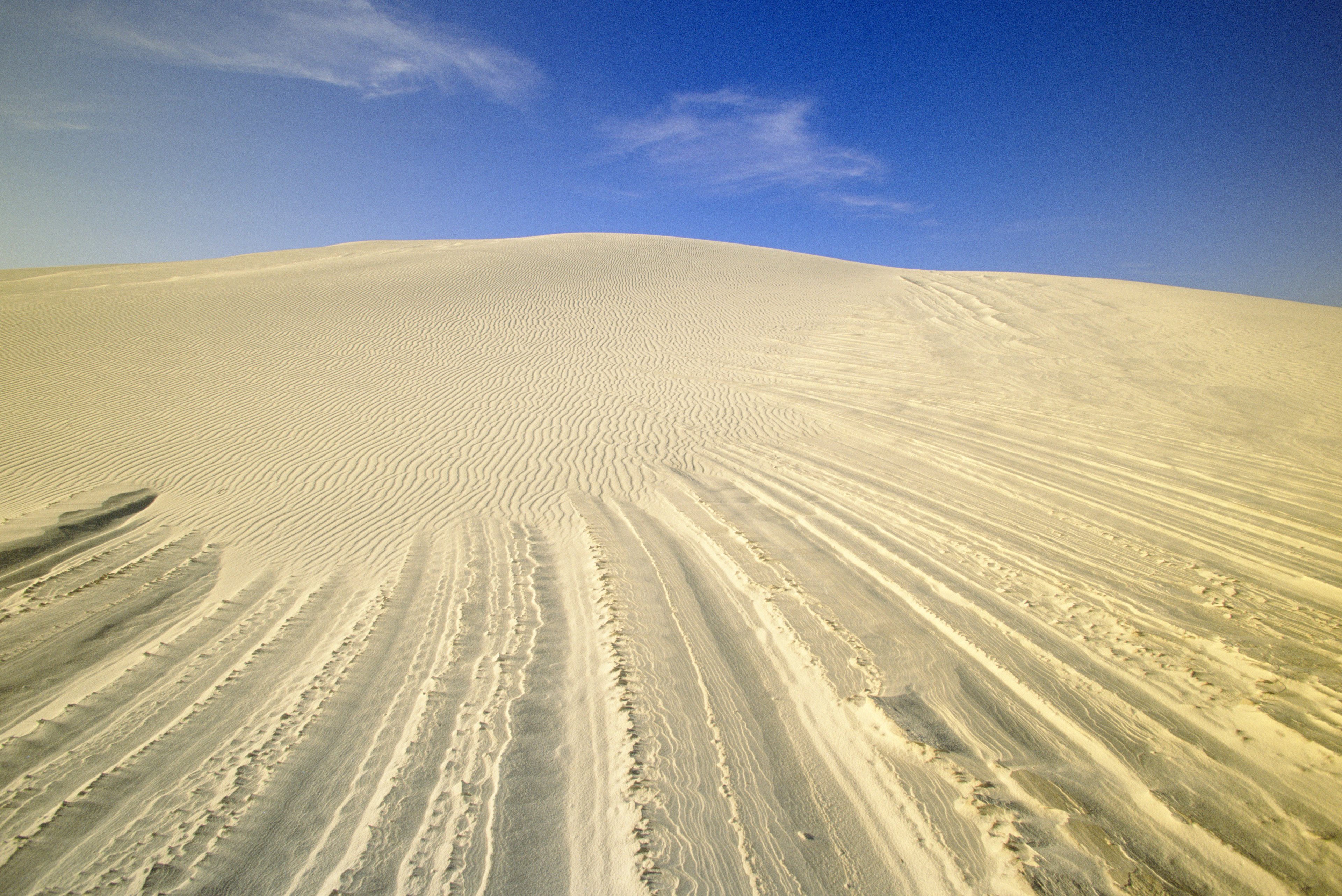 yuccaatwhitesandsnationalmonument New Mexico Pictures New