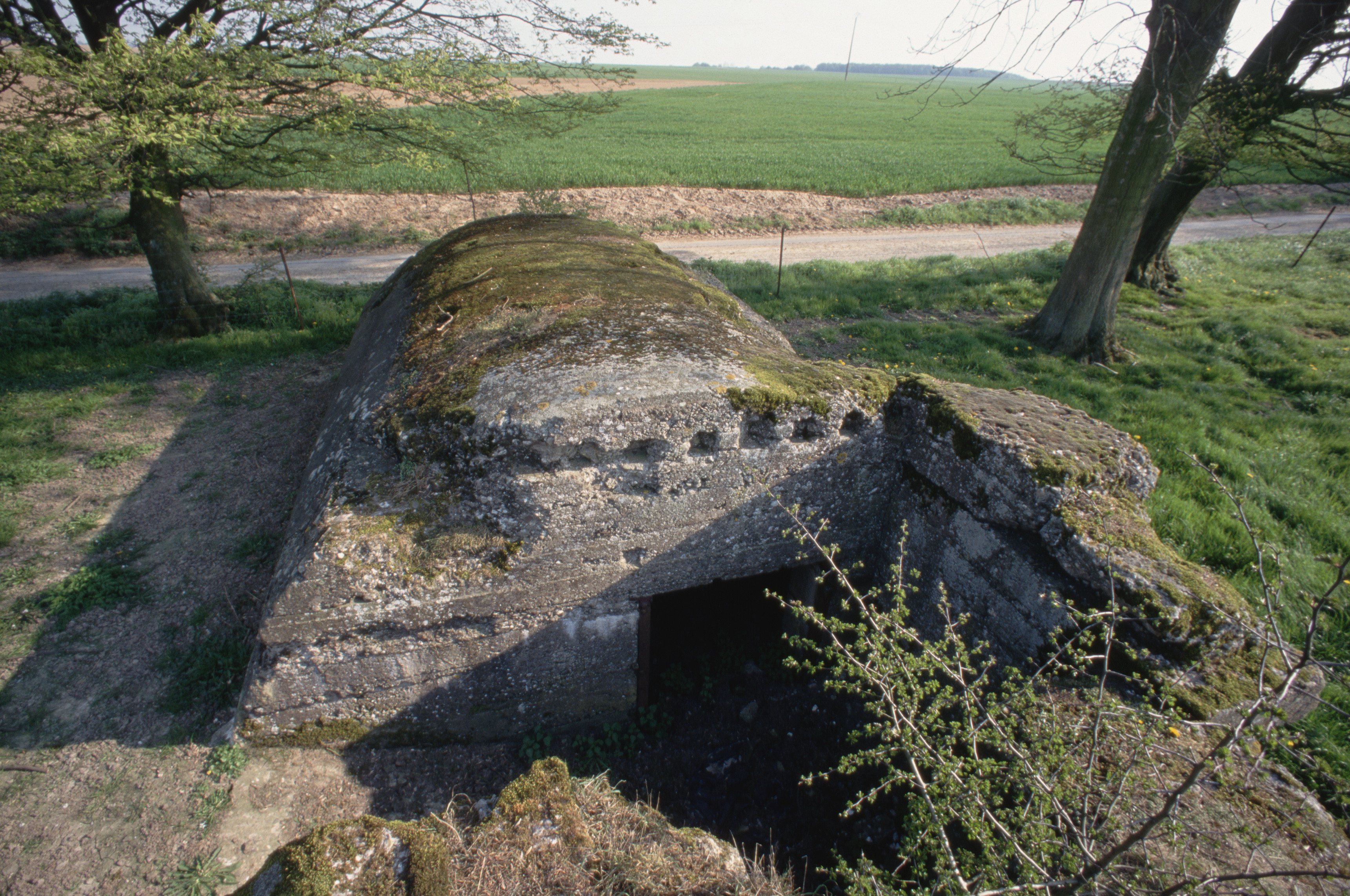 World War I Trench Warfare Pictures World