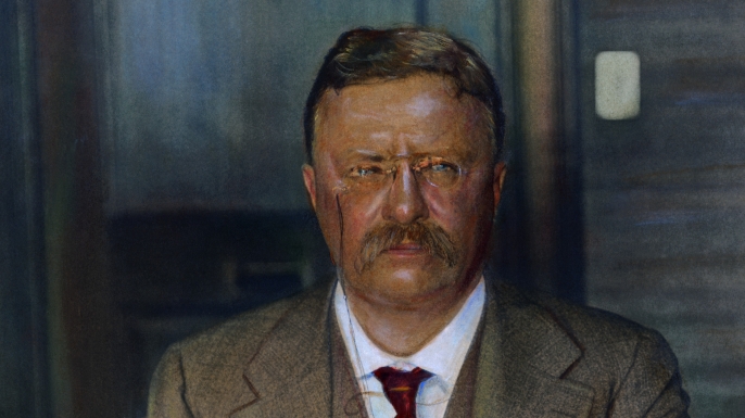 26th president of the united states, theodore roosevelt, teddy roosevelt, new york city, 1858
