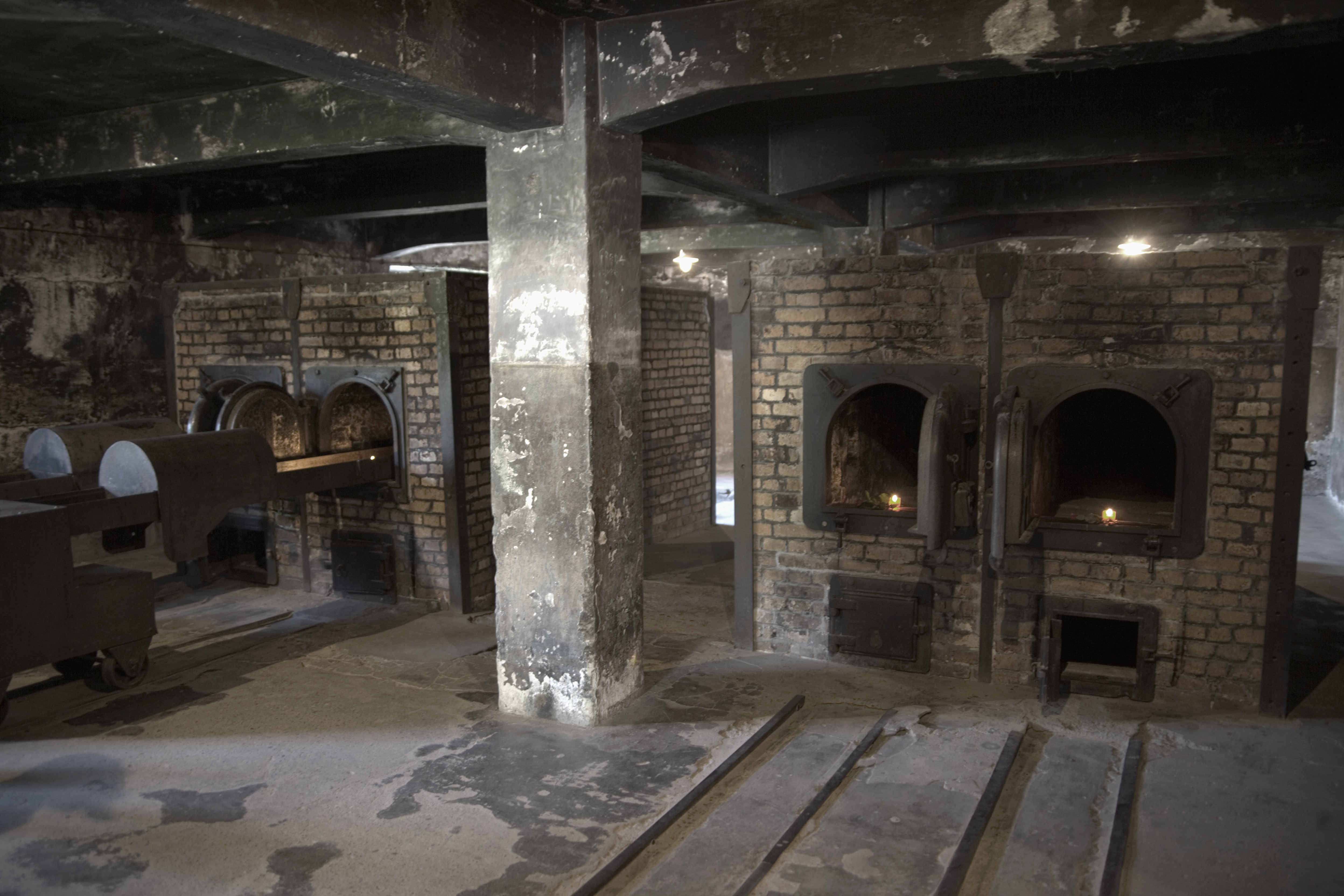 Arriving at auschwitz Holocaust Concentration Camps Pictures The 