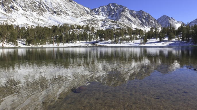 donner party