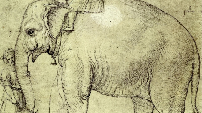 Sketch of Hanno c. 1514.