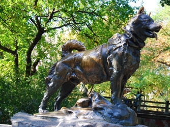 Statue of Balto in New York's Central Park (Credit: Getty Images)