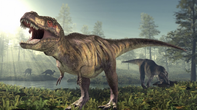 t rex