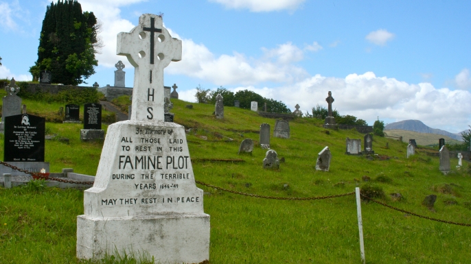 irish famine essay Over 180,000 irish potato famine essays, irish potato famine term papers, irish potato famine research paper, book reports 184 990 essays, term and research. irish famine essay Over 180,000 irish potato famine essays, irish potato famine term papers, irish potato famine research paper, book reports 184 990 essays, term and research.