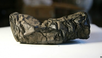 Herculaneum scrolls (Credit: Salvatore Laporta/AP)