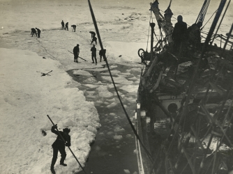 Strenuous endeavors are made to free the Endurance from the ice. (Credit: Frank Hurley/Getty Images)
