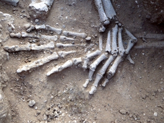 Detail of hands of in situ skeleton. Position suggests they had been bound. (Credit: Marta Mirazón Lahr)