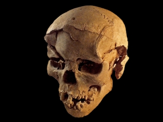 Skull with multiple lesions on front and left side, consistent with wounds from a blunt implement. (Credit: Marta Mirazón Lahr)