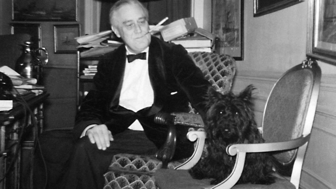 Franklin D. Roosevelt and Fala in the White House study (December 20, 1941). (Credit: Public Domain)