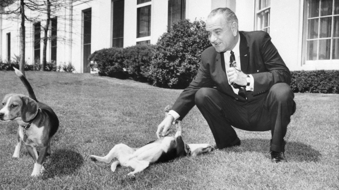 President Johnson scratches the belly of one of his two beagles (named Him and Her) on the White House lawn on April 12, 1964. (Credit: Bettmann/Getty Images)