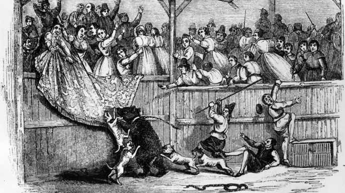 Bear-baiting in the 16th century. (Credit: Hulton Archive/Getty Images)