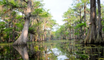 7 Lesser-Known Historic Sites in Louisiana