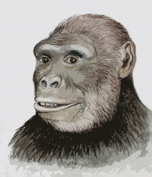 head sketch is by Assen Ignatov of the Bulgarian National Museum of Natural History