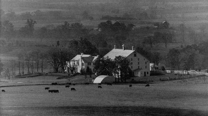 Pres. Dwight D. Eisenhower's farm. (Credit: George Skadding/The LIFE Picture Collection/Getty Images)