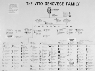 The Vito Genovese Family chart shown at Senate crime inquiry, 10/8/63, listening to the testimony of convict-informer Joe Valachi. (Credit: Bettmann / Contributor)