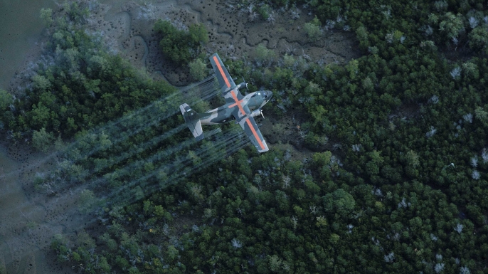 US plane spraying Vietnam landscape with tainted herbicide/defoliant Agent Orange during the war. (Credit: Dick Swanson/The LIFE Images Collection/Getty Images)