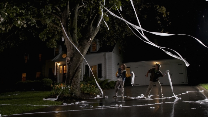 Throwing toilet paper into trees is one of the many "Mischief Night" traditions. (Credit: Darrin Klimek/Getty Images)