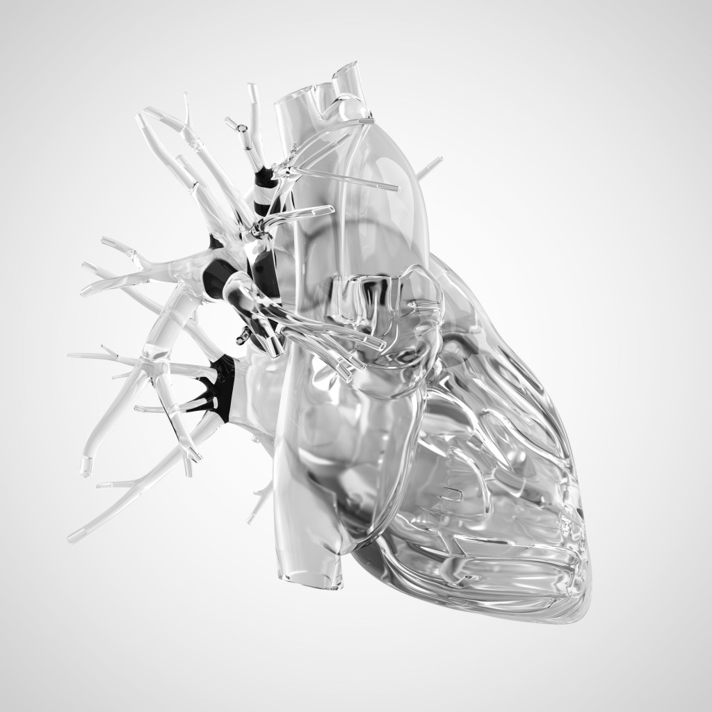 Human heart made of glass. (Credit: Sebastian Kaulitzki/Alamy Stock Photo)