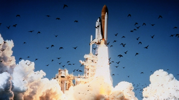 How Groupthink Led to 7 Lives Lost in the Challenger Explosion