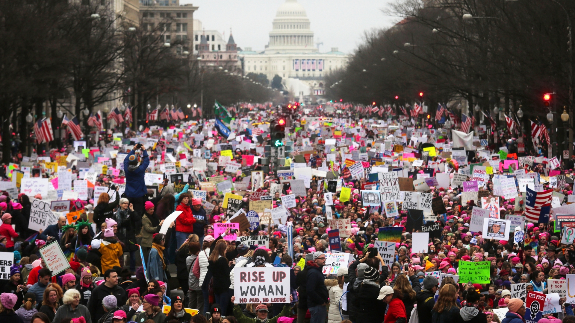Large crowds at the Women's March on Washington on January 21, 2017 in Washington, D.C. (Credit: Mario Tama/Getty Images)